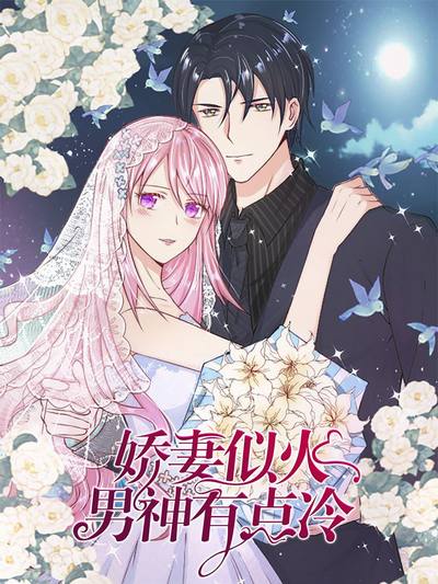 娇妻似火：男神有点冷